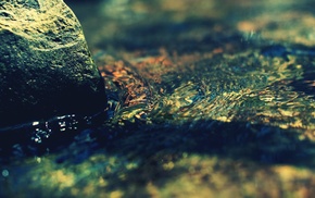 macro