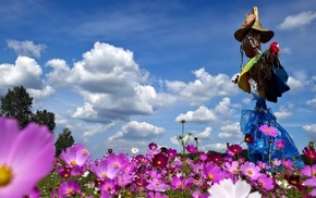 flowers, nature, sky