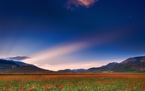 field, hills, nature, flowers, sky