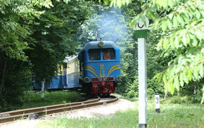 forest, train