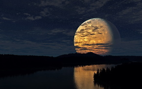 sky, night, forest, moon, stunner