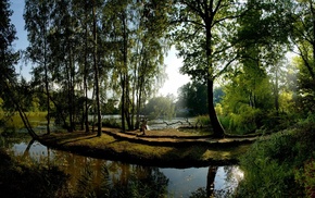 forest, river, nature, trees