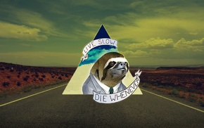 triangle, life, humor, death, road, sloths
