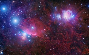 nebula, Horsehead Nebula, stars, space