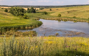 nature, sky, lake, grass