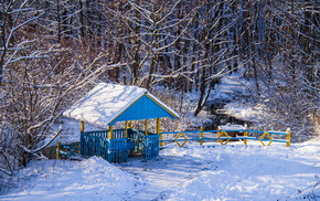 Sun, beautiful, forest, snow, ice