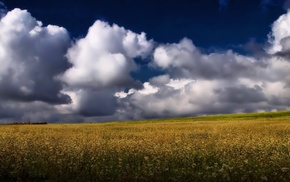 nature, field, sky, clouds, summer