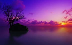sunset