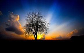 sunset