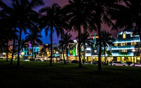 Miami, South Beach, Florida, palm trees