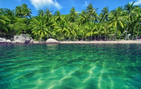 water, beach, palm trees