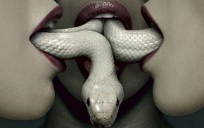 American Horror Story, snake, horror