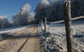 nature, snow, fence, trees, path
