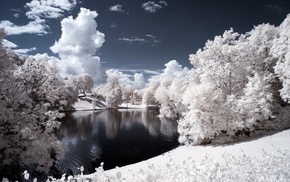 water, snow, nature, pond, trees, winter