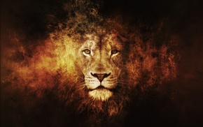 3D, photoshop, lion