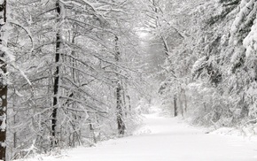 landscape, nature