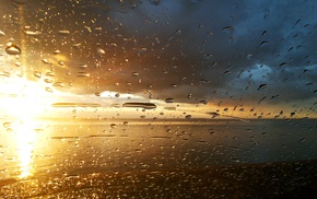 nature, drops, sunset, rain