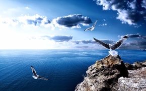 sea, nature, sky
