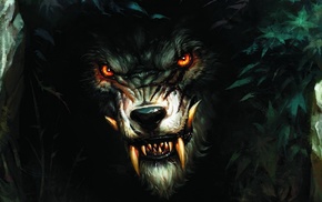 wolf