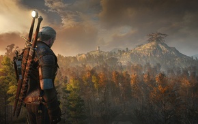 The Witcher