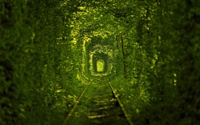 nature, path, Ukraine, macro, photo