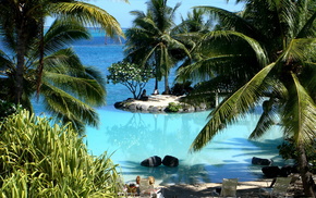 island, stunner, ocean, palm trees