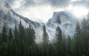 mountain, mist, trees, Yosemite National Park, nature