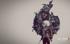 The Witcher 3 Wild Hunt