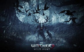 The Witcher, video games, The Witcher 3 Wild Hunt