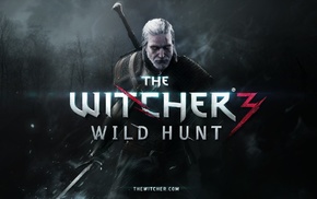 The Witcher