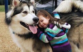 Alaskan Malamute, children, dog