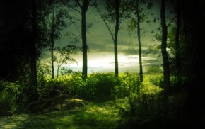 water, nature