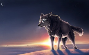 tundra, moon, wolf