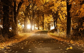 road, fall, nature