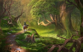 Link, Perona, The Legend of Zelda, Lost Woods