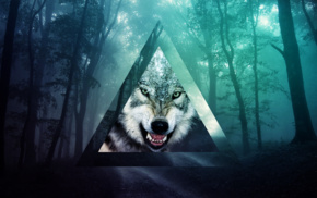 memes, forest, wolf, triangle