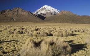 plants, Bolivia, mountain, nature, field, valley