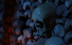 dark, bones, depth of field, skull