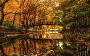 river, stones, forest, reflection, bridge, nature