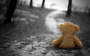teddy bears, nature, depth of field, selective coloring, gloomy