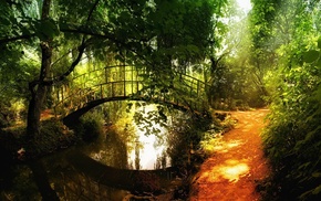 sunlight, nature, forest, reflection, river, bridge