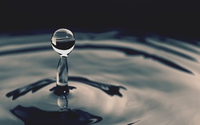 macro, water, water drops, ripples, nature