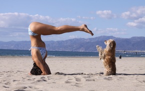 beach, bikini, girl, yoga, dog