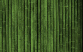 bamboo, minimalism
