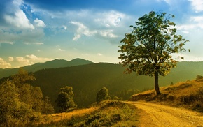 road, trees, nature, landscape