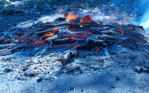 log, fire, nature