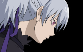 purple eyes, Darker than Black, Yin, profile, anime