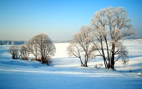 winter, snow