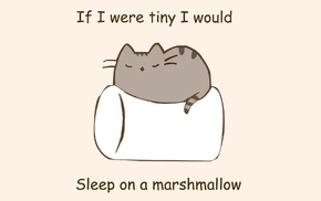 humor, marshmallows, cat