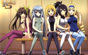 Infinite Stratos, Bodewig Laura, Dunois Charlotte, Shinonono Houki, Huang Lingyin, anime girls